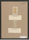 Navicula transfuga Grun. (de-Toni-Nr.: Genus 1, Species 371) Zeichnungen Sammlung Grunow Nr. 838 (NHMW-BOT-W0367271)